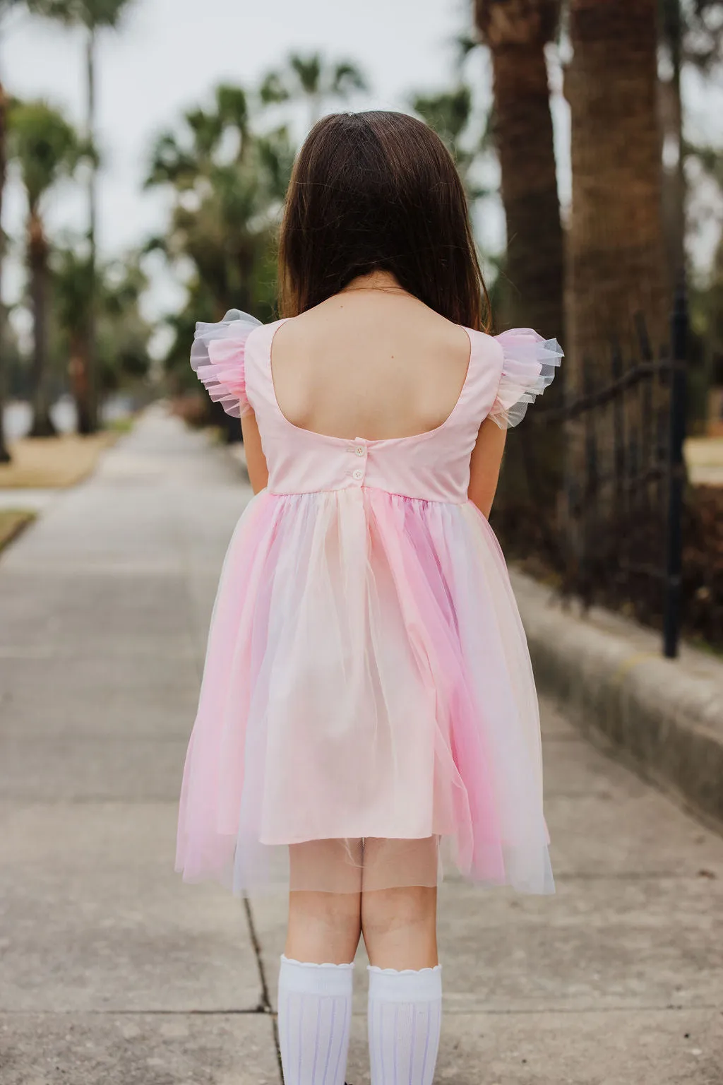 Little Girl's Pink Ombre Flutter Sleeve Tulle Dress
