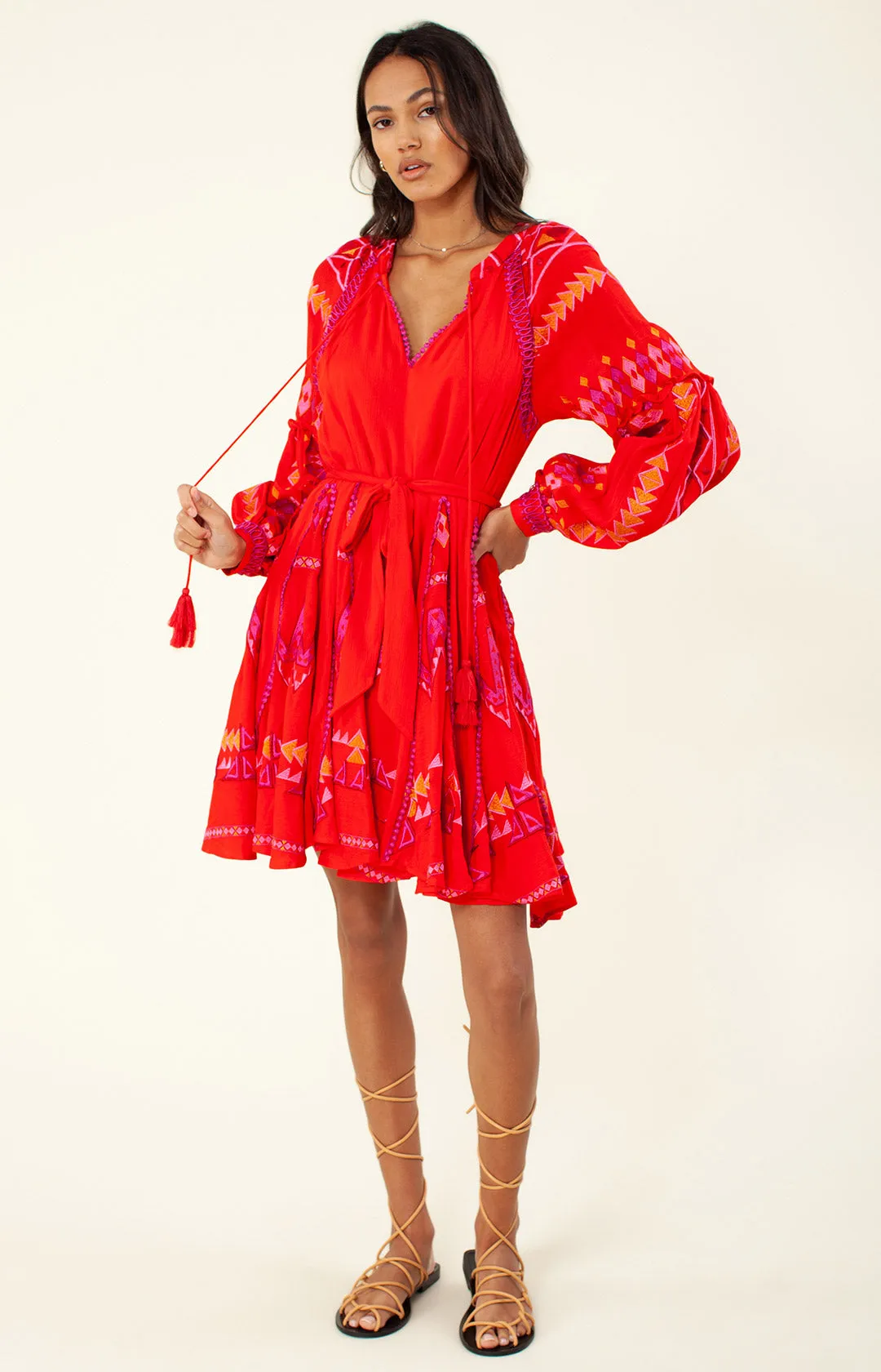 Ravin Embroidered Dress