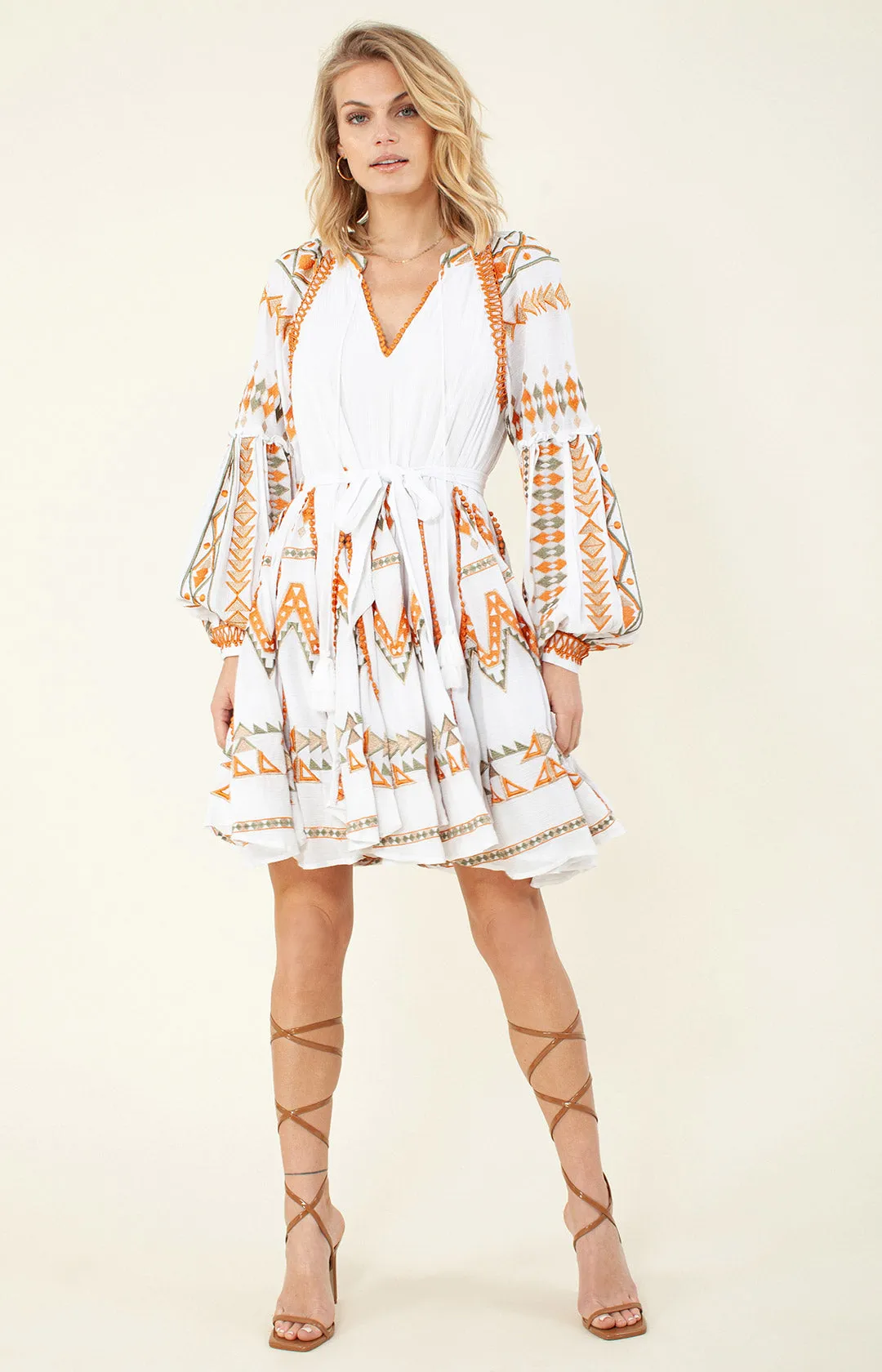 Ravin Embroidered Dress