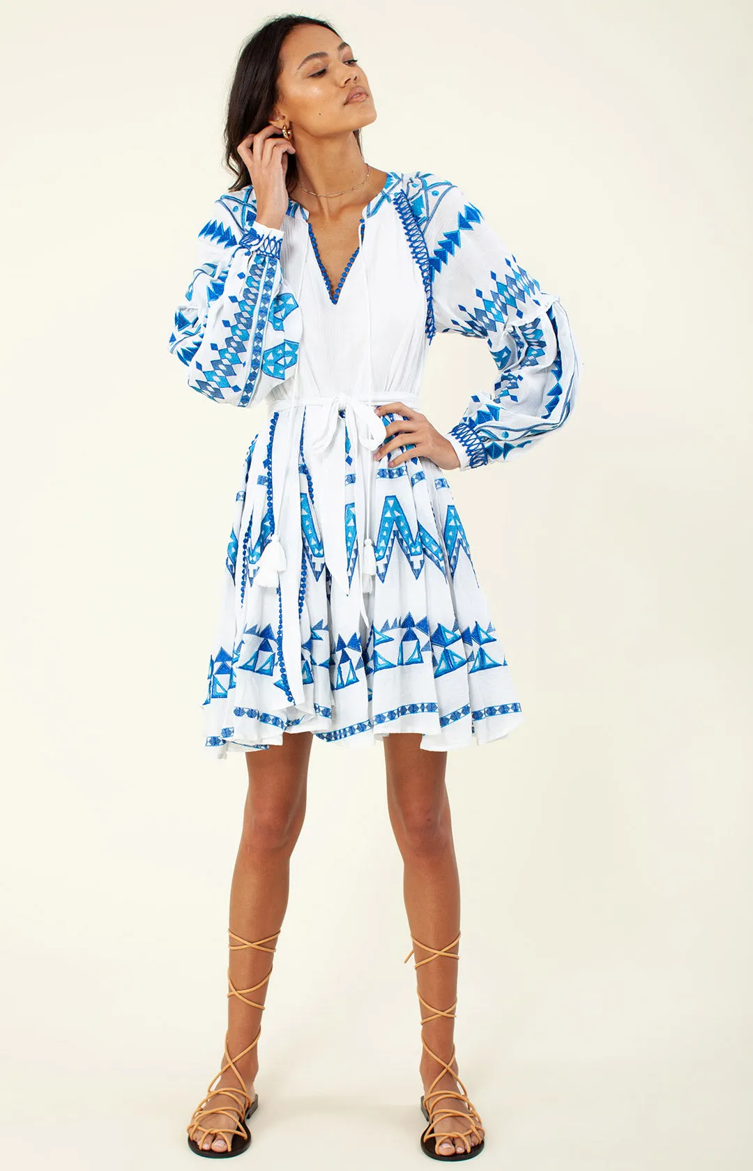 Ravin Embroidered Dress